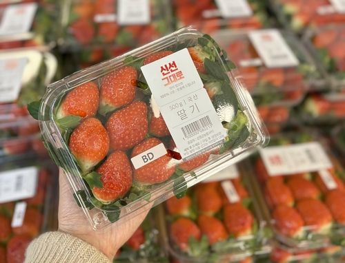 신선 그대로 딸기
