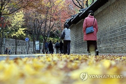 가을에서 겨울로 가는 풍경