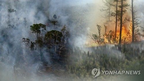 아마존 등 전세계가 불탄다…"탐욕이 부른 재앙" (CG)
