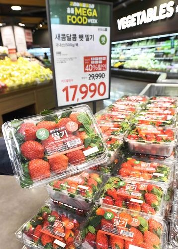 홈플러스 딸기 매대