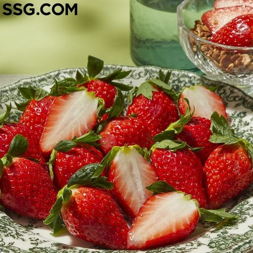 [SSG닷컴 제공. 재판매 및 DB 금지]