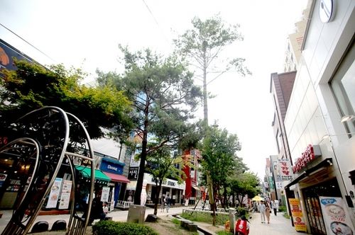 청주시 중앙동 소나무길 전경