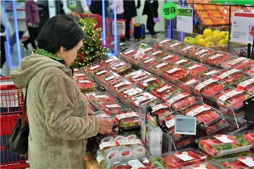 롯데마트, 딸기 전 품목 2팩 이상 구매 시 2천원씩 할인