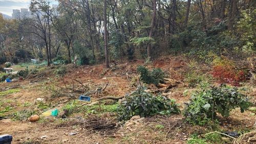 훼손된 광주 남구 진월동 한 임야