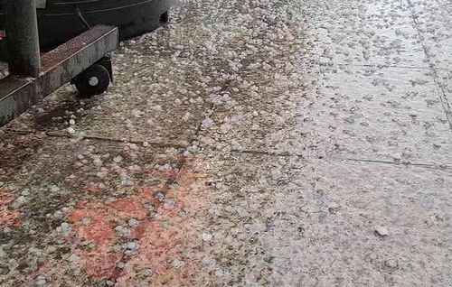 철원에 '우수수' 내린 우박