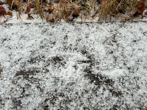 철원군 철원읍 화지리에 내린 우박