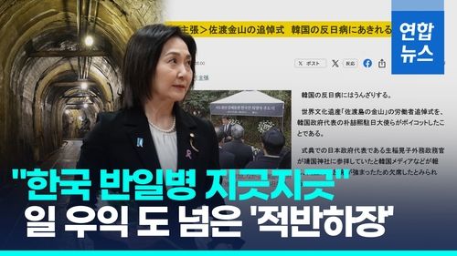 [영상] "한국 반일병 지긋지긋"…사도광산 갈등 속 '적반하장' 일 우익 - 2