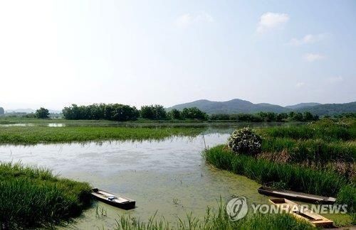 창녕 우포늪 전경