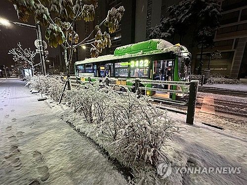 밤사이 쌓인 눈