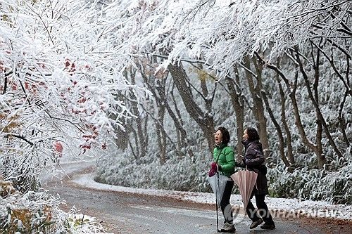 하얀 눈이 내린 무등산