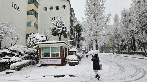 분당 야탑동 목련마을