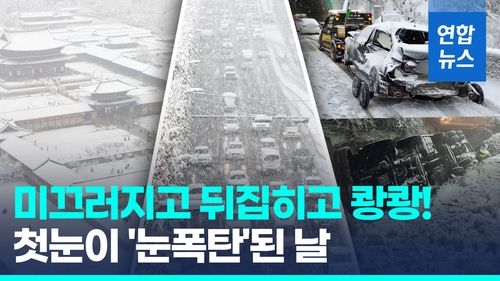 [영상] 117년만의 11월 '눈폭탄'…깨지고 뒤집히고, 궁궐도 문 닫았다 - 2