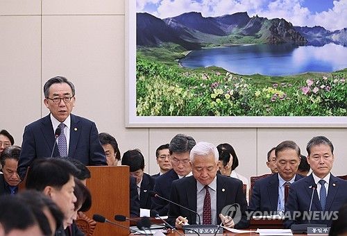 보고하는 조태열 외교장관