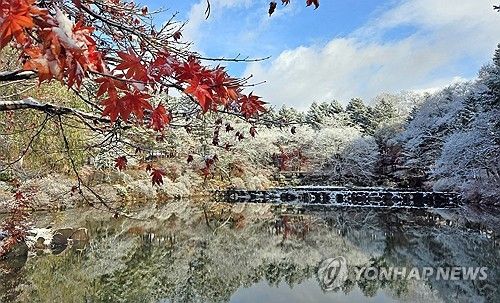 데칼코마니 눈풍경