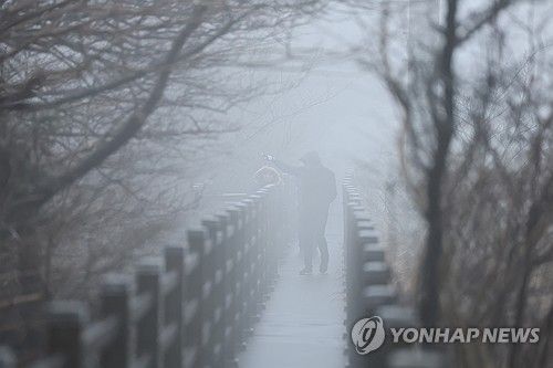 비구름 속 한라산 1100고지
