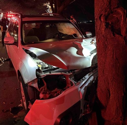 가로수 들이받은 SUV 차량