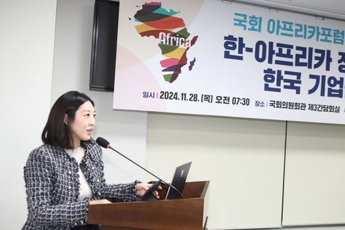 '한-아프리카 정상회의 그 이후: 한국 기업들의 과제' 주제 발표하는 김경 변호사