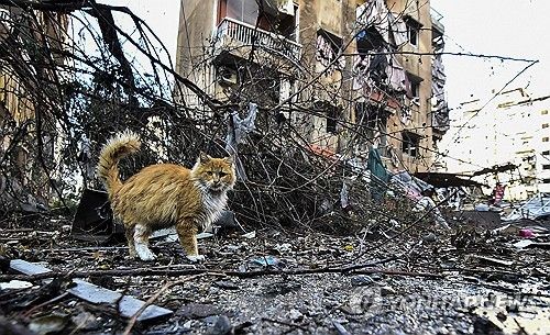 27일(현지시간) 레바논 베이루트 다히예 지역의 주택가