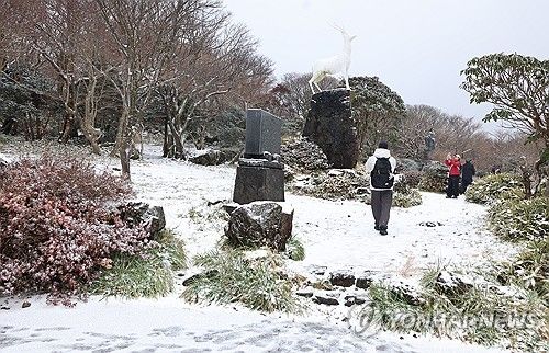 펑펑 내리는 눈이 반가워