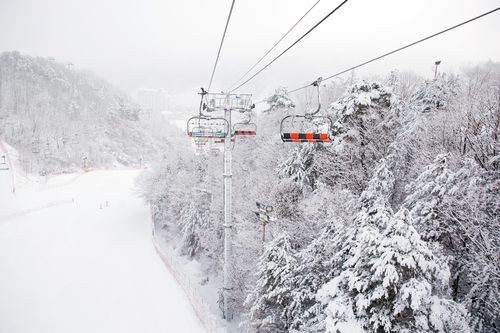 최근 내린 눈이 쌓인 엘리시안 강촌 스키장