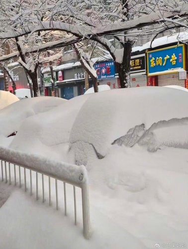 폭설로 안 보이는 자동차들