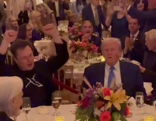 빌리지 피플의 YMCA에 맞춰 손을 흔드는 일론 머스크 테슬라 CEO(좌측)