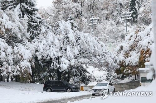 '설국으로 변한 주차장'