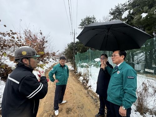 폭설 피해 현장 점검하는 김석필 부시장(오른쪽 첫 번째)