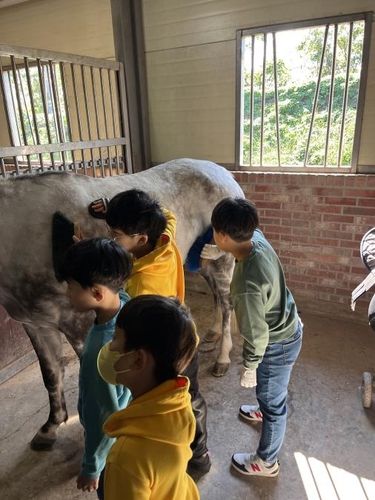 승마 체험 수업 모습