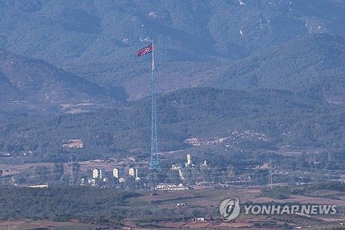 펄럭이는 인공기