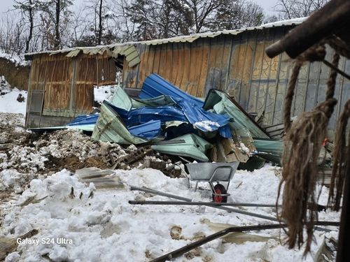 무너진 이천의 축사