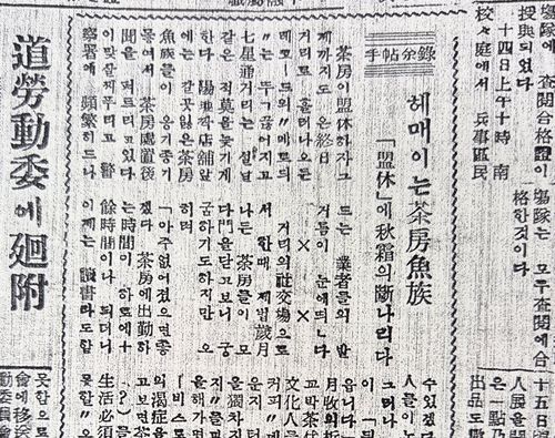 1955년 제주신보에 실린 기사