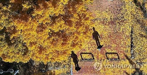 단풍 내리는 길목에서