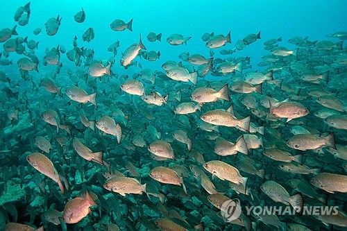 생물다양성이 위협받는 시대에 열린 또하나의 외교 올림픽 COP16 [AFP 연합뉴스 자료사진. 재판매 및 DB 금지] 