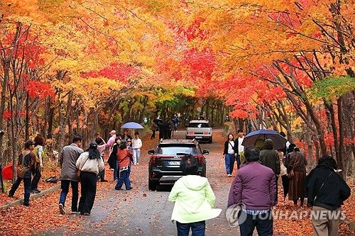 인제 필례약수터 오색 단풍
