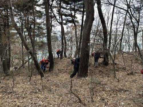 나무예방주사를 접종하는 산림당국 관계자들