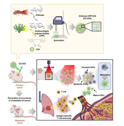 광열 치료 개략도
