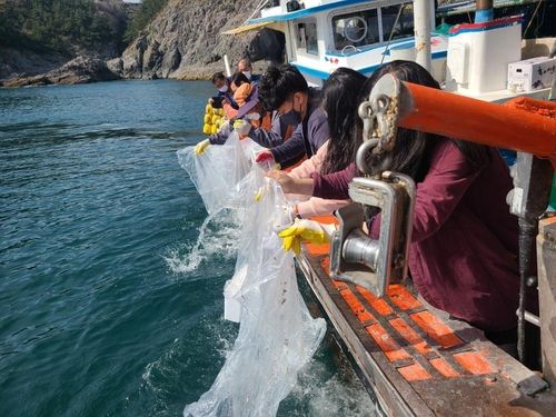 남해군 꼼치 치어 방류