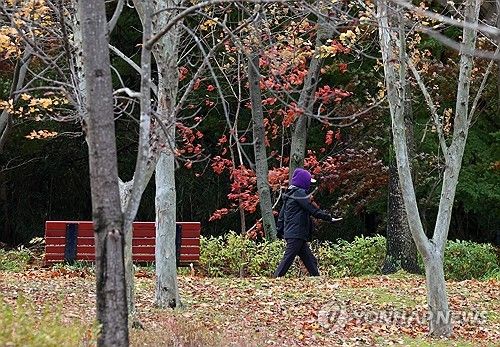 가을에서 겨울로