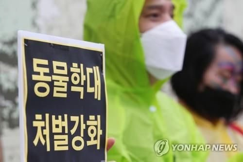 동물학대 처벌강화 기자회견