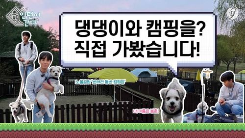 [인턴이간다] 댕댕이와 캠핑을?…직접 가봤습니다 - 2