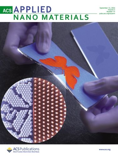 어플라이드 나노 머티리얼즈 표지논문