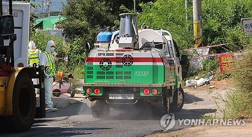 ASF 발생…긴급 방역