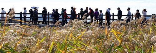 제9회 강진만 춤추는 갈대축제