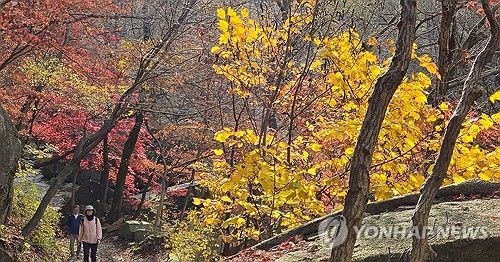 단풍 엔딩, 다음주에는 기온 '뚝'