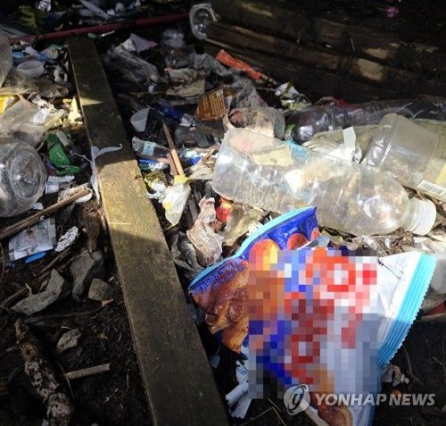 한라산 정상에 버려진 쓰레기들