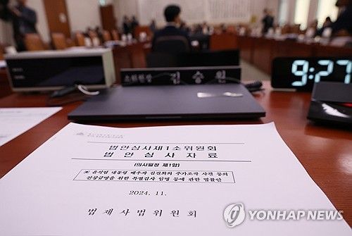 법안소위서 김건희 여사 특검법 논의