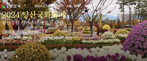2024 양산국화축제 