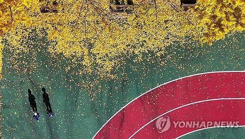 단풍 내리는 길목에서