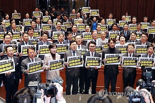 김 여사 특검 요구하는 민주당